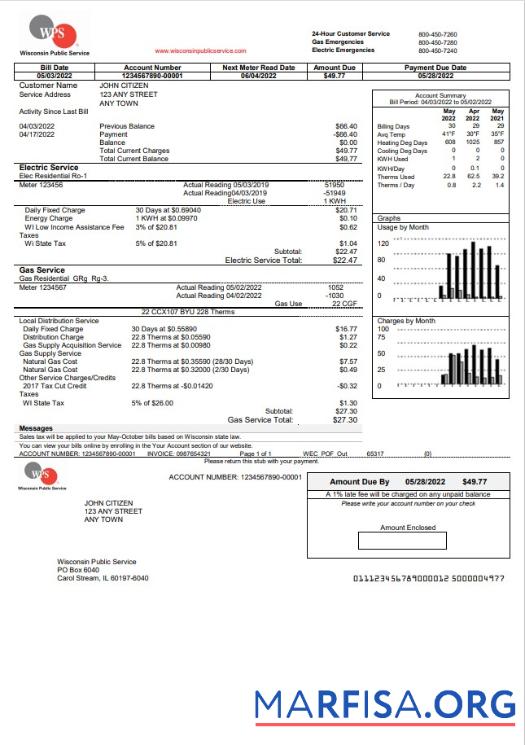 Printable USA WPS utility bill template in Word and PDF format